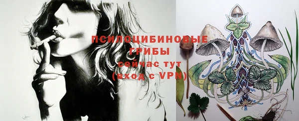 твердый Горно-Алтайск