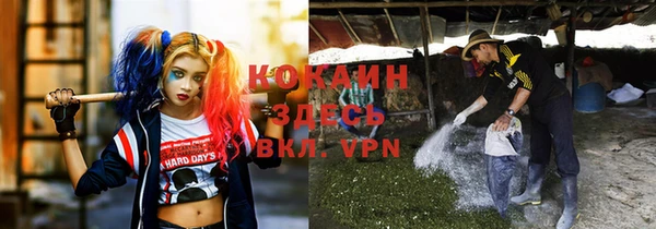 твердый Горно-Алтайск